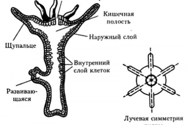 Кракен сайт маркетплейс