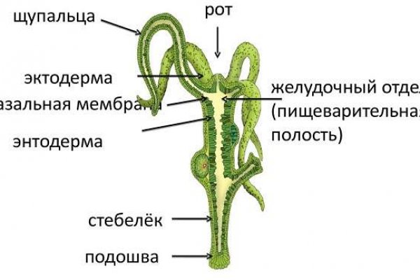 Что такое даркнет кракен